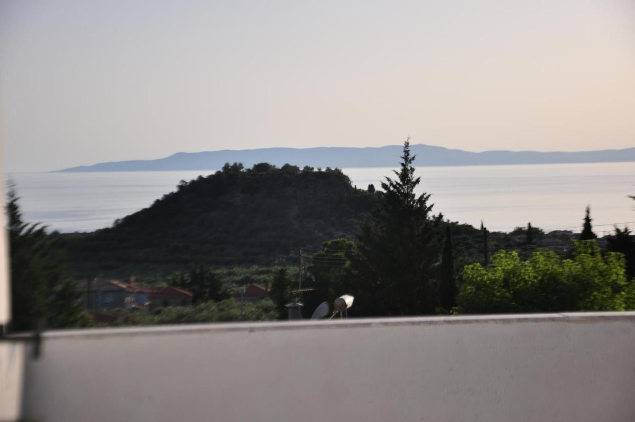 Ifigenia's Apartment *